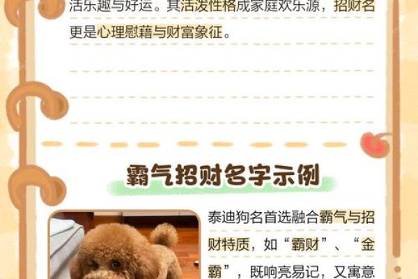 2018年生肖狗宝宝如何取名？狗宝宝取名有何禁忌？-华易网姓名